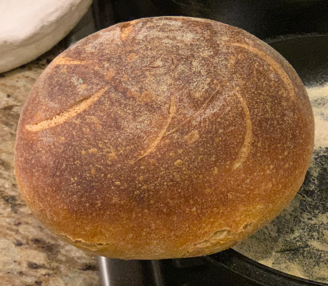 Cover Image for Sourdough bread